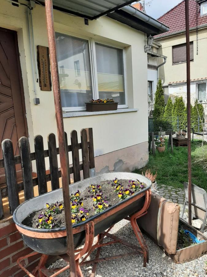 Apartment Sorgenfrei Капут Екстериор снимка